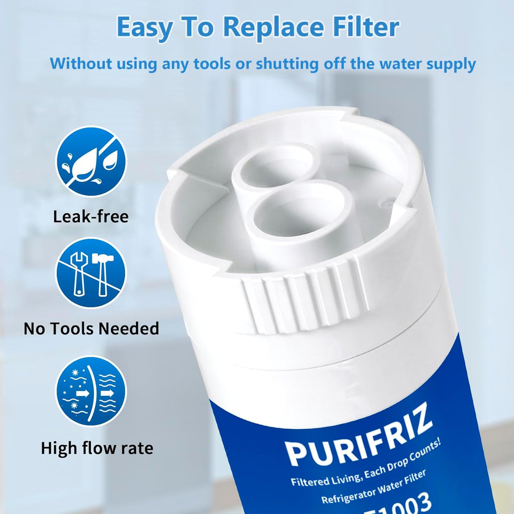 XWF (Not XWFE, NO Chips), Refrigerator Water Filter Compatible with GE XWF, GBE21, GDE21, GDE25, GFE24, NSF/ANSI 42&372 Certified, 6 Month / 300 Gallon 1 pack, 2 pack, 3 pack, 4 pack